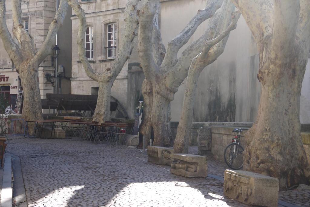 Appartements Des Teinturiers Avignon Buitenkant foto